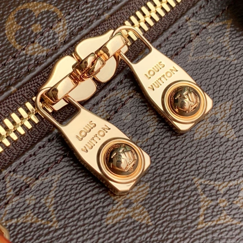LV Travel Bags